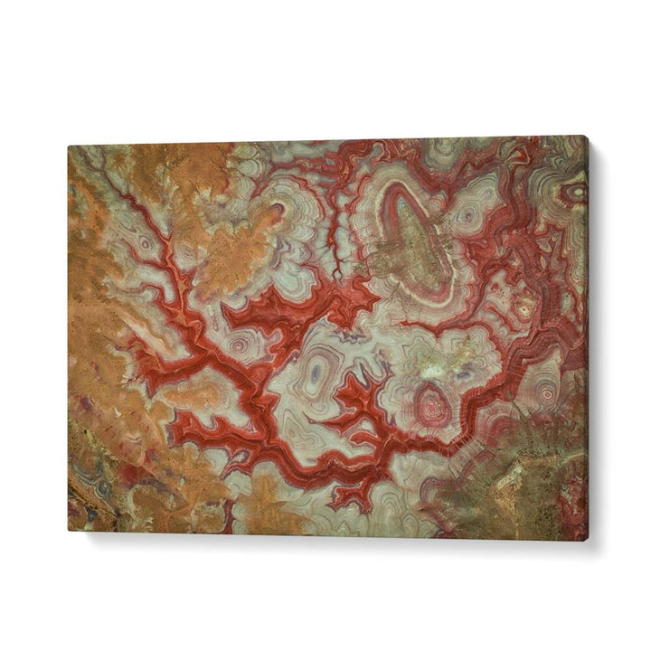 Stunning RED DRAGON OF THE BADLANDS, PHOTOGRAPHY PRINTS showcasing nature's raw beauty and untamed spirit.