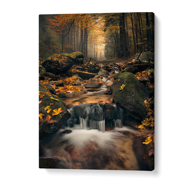 DREAMY AUTUMN BY STEFAN HEFELE , LANDSCAPE PHOTO PRINTS