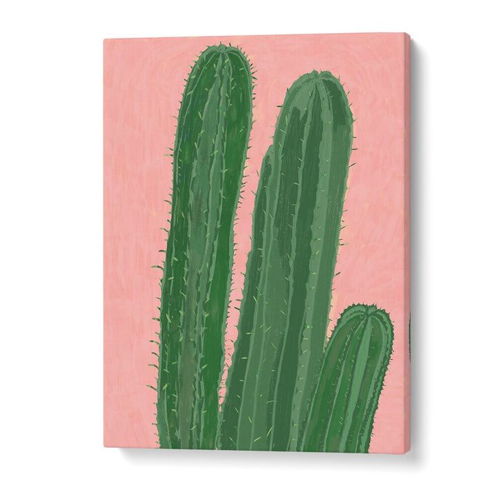 CACTUS , FLORAL FLOWER PAINTINGS