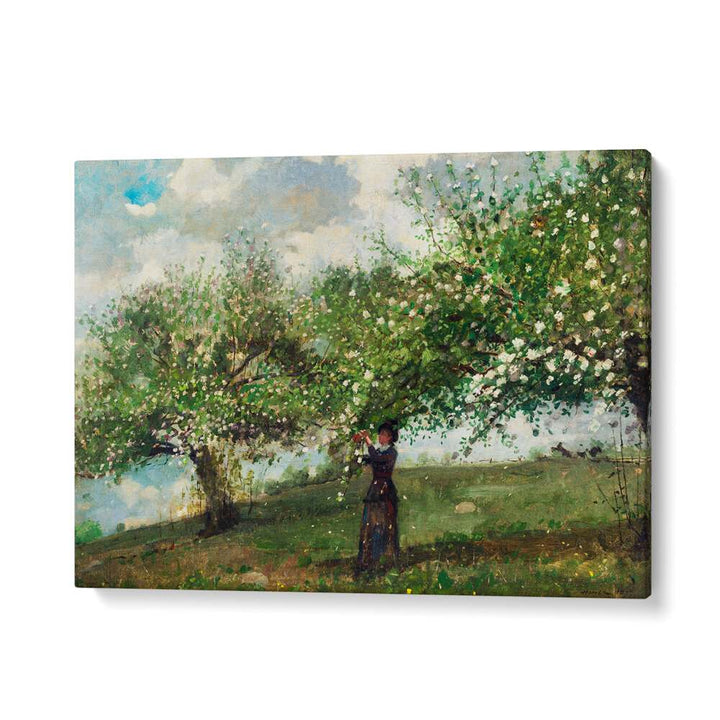 GIRL PICKING APPLE BLOSSOMS (1879) , VINTAGE PAINTINGS