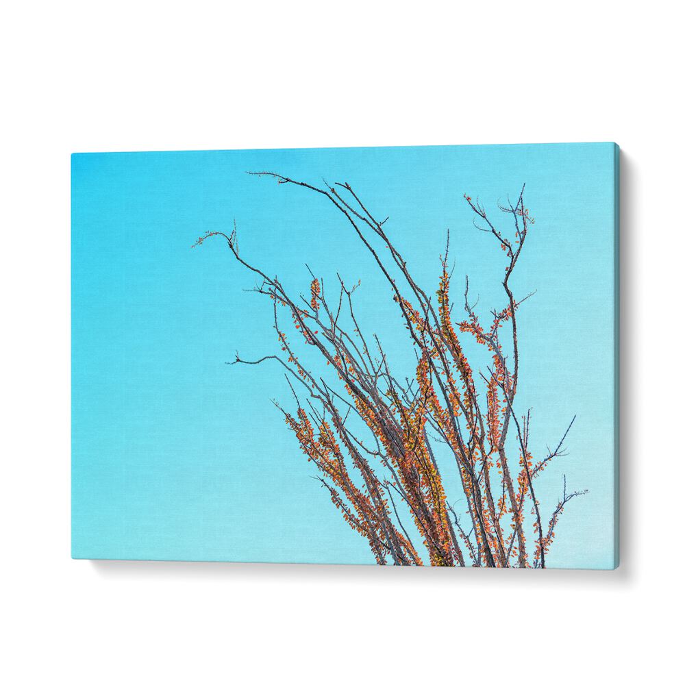 ABSTRACT painting - OCOTILLO IN THE FALL by Asianmonk