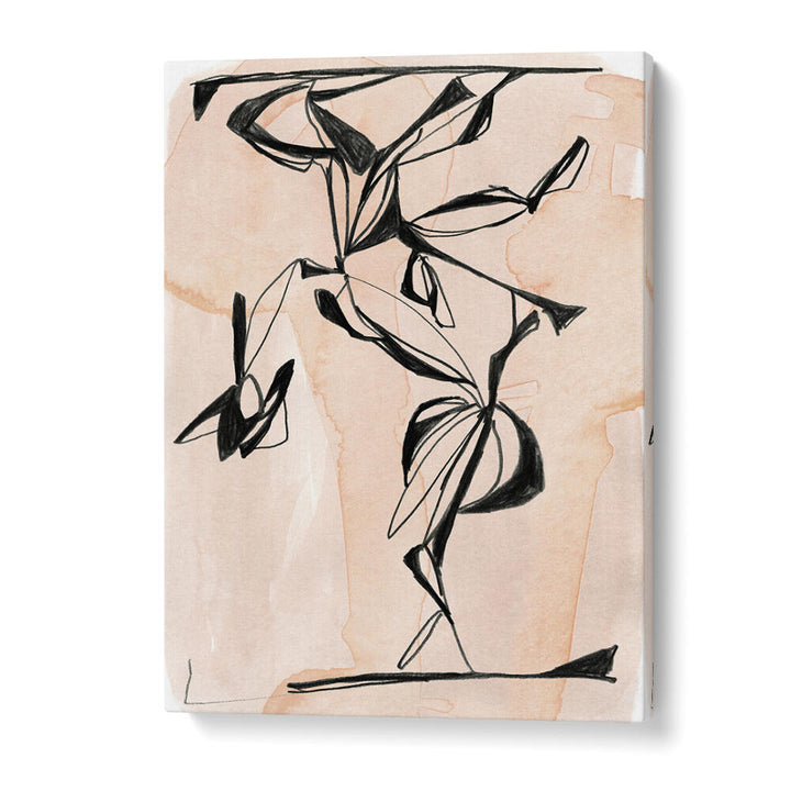 ABSTRACT BALLET MOTION , ORGANIC FORMS