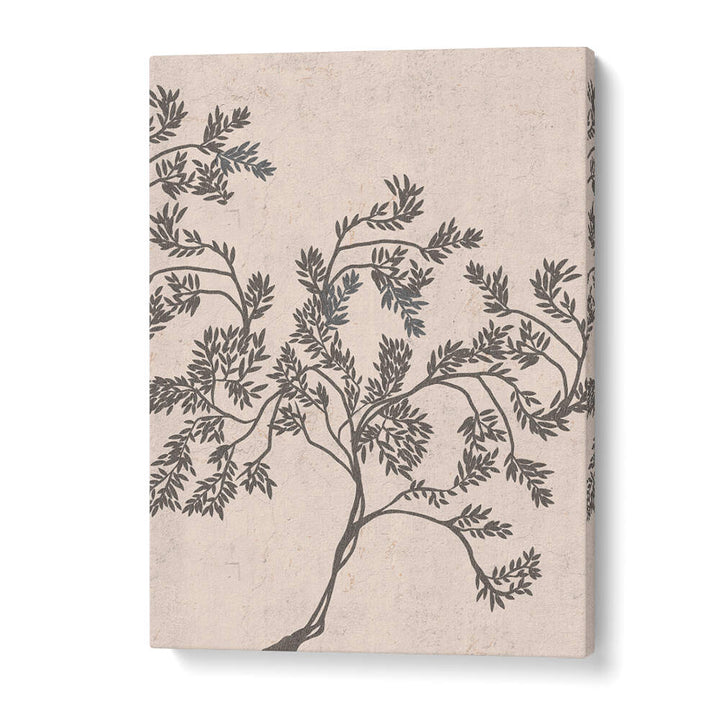 ACACIA NILOTICA , FLORAL FLOWER PAINTINGS