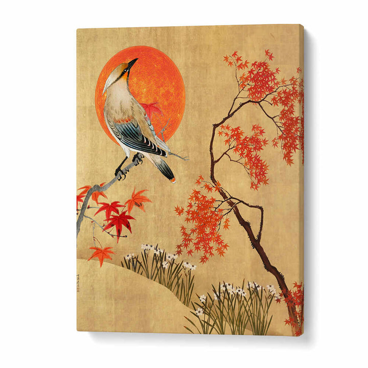 AUTOMNE JAPONAIS