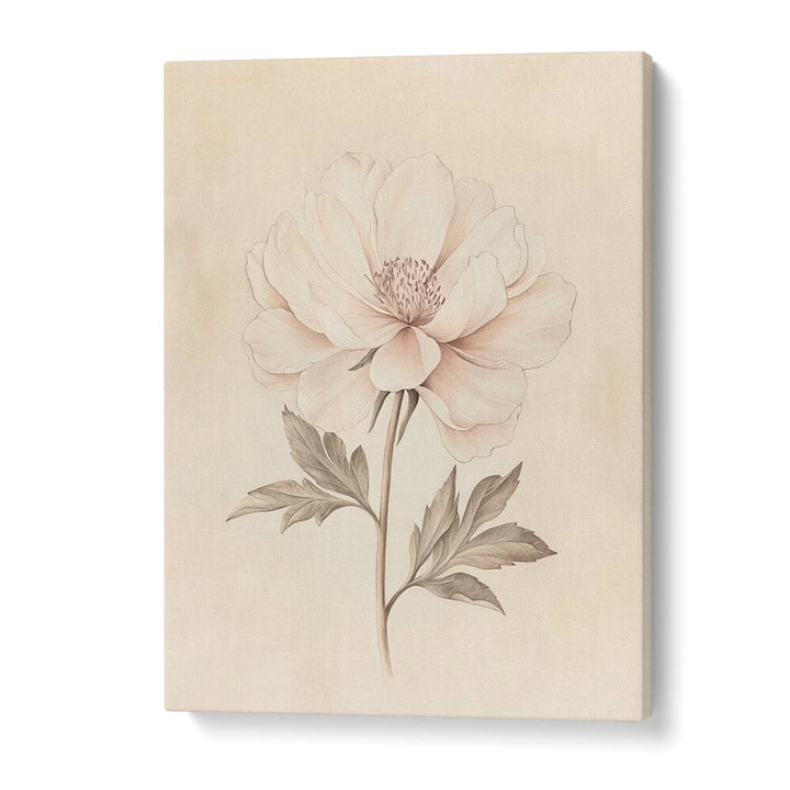 BEIGE FLOWER , FLORAL FLOWER PAINTINGS