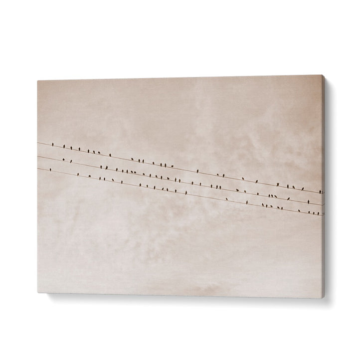 BIRDS ON A WIRE BEIGE, ANIMAL PAINTINGS showcase serene silhouettes against a soft beige sky, perfect for any decor.