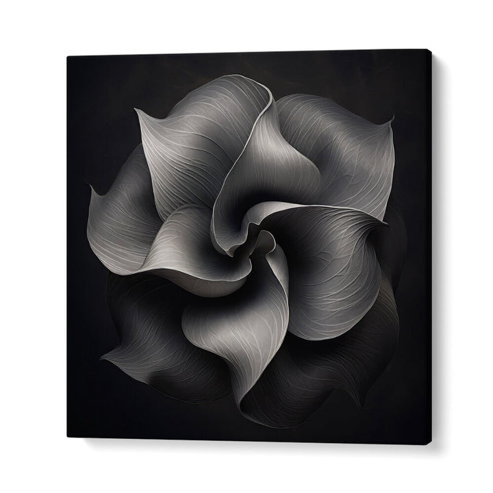 BLACK AND WHITE FLOWER V , ORGANIC FORMS