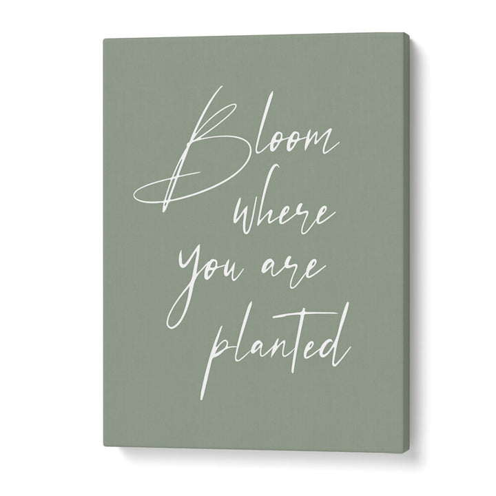 BLOOM , QUOTES & TYPOGRAPHY POSTERS