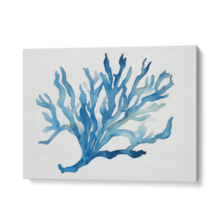 BLUE CORAL , BEACH PAINTINGS