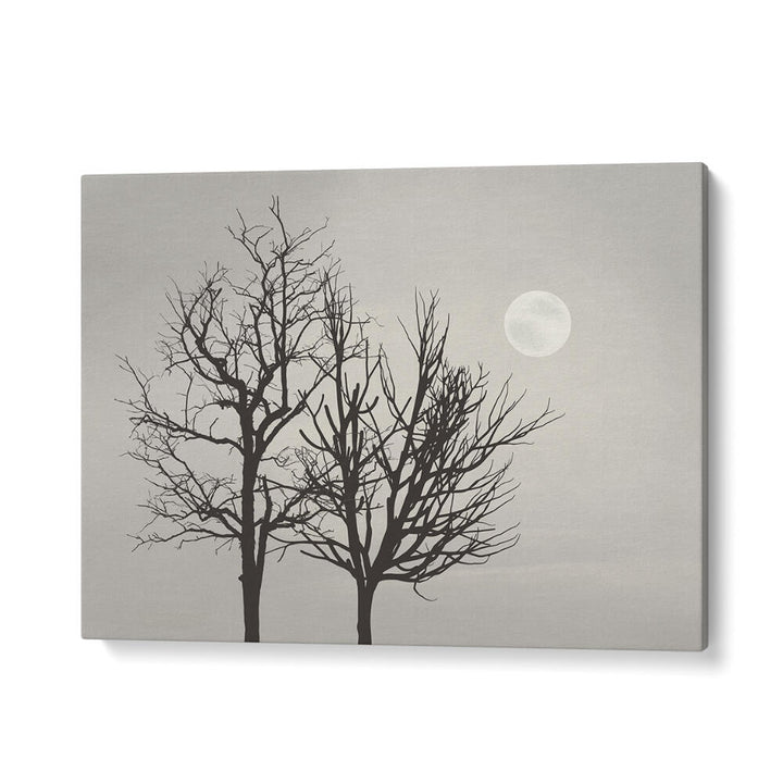 BRIGHT MOON LIGHT , LANDSCAPE PAINTINGS