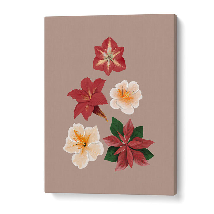 CHRISTMAS FLOWERS