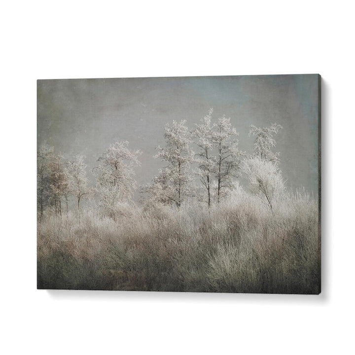 COLD MORNING , FLORAL FLOWER PAINTINGS