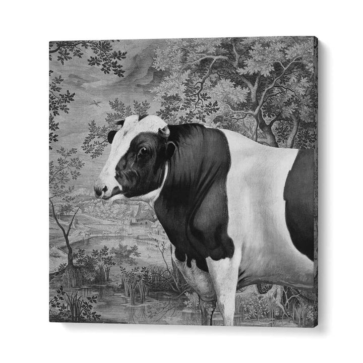 COW IN LANDSCAPE