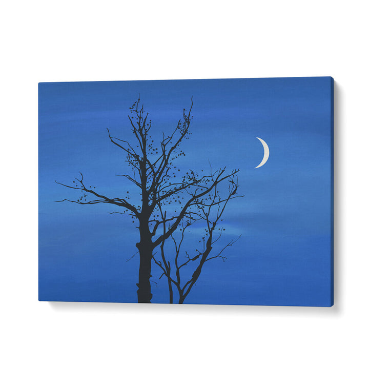 CRESCENT BLUE SKY , LANDSCAPE PAINTINGS