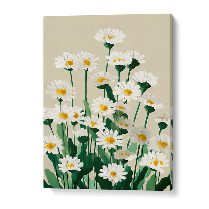 DAISY MEADOW MORNING , FLORAL FLOWER PAINTINGS