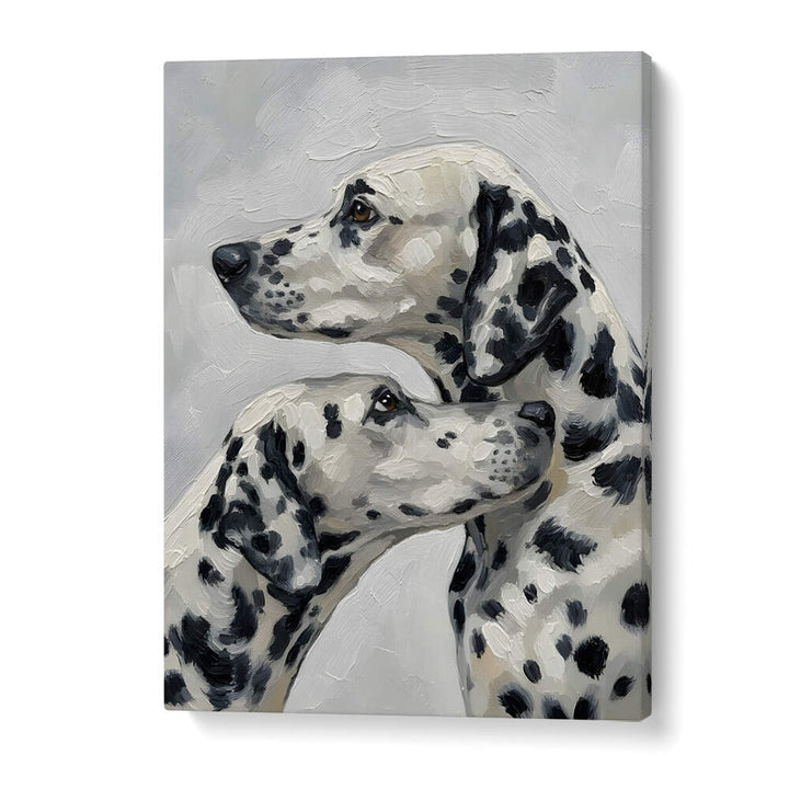 DALMATION DOG