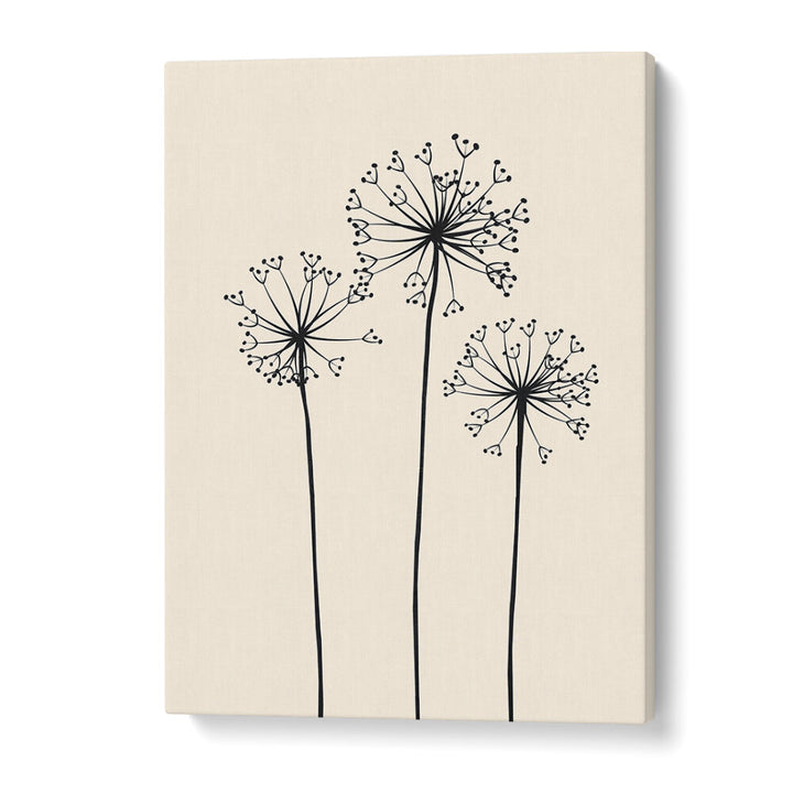 DANDELIONS V