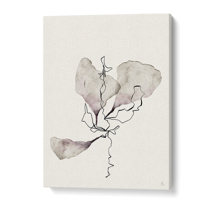 DELICATE BOTANICAL STUDY