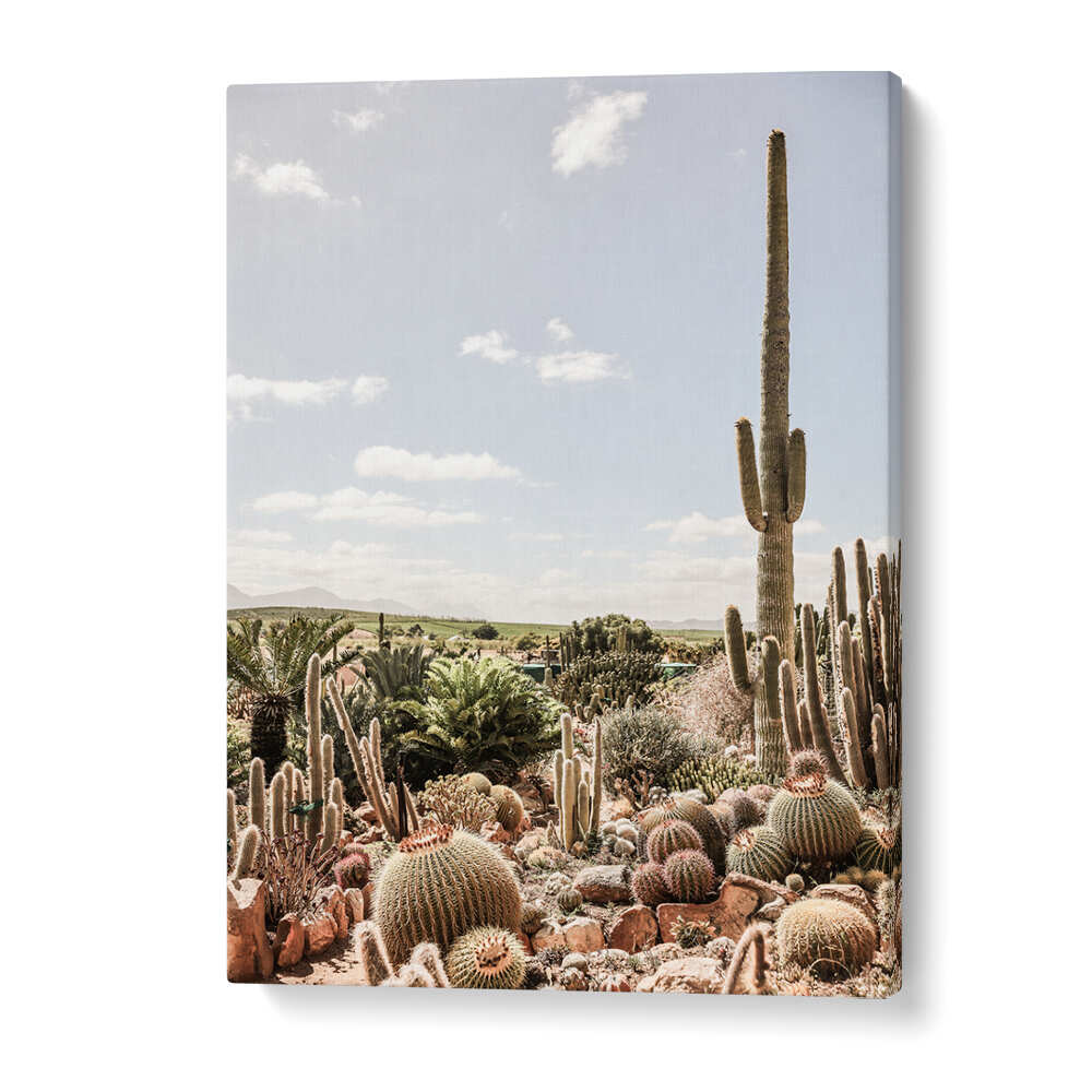 DESERT SYMPHONY , COWBOY canvas print showcasing tall saguaro and barrel cacti — Modern Americana wall art