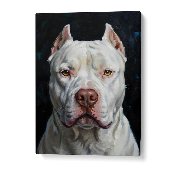 DOGO ARGENTINO