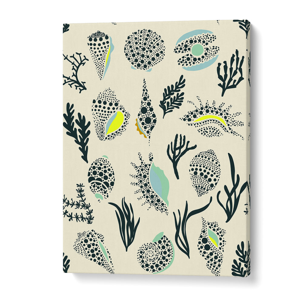 DOTTED OCEAN SHELLS