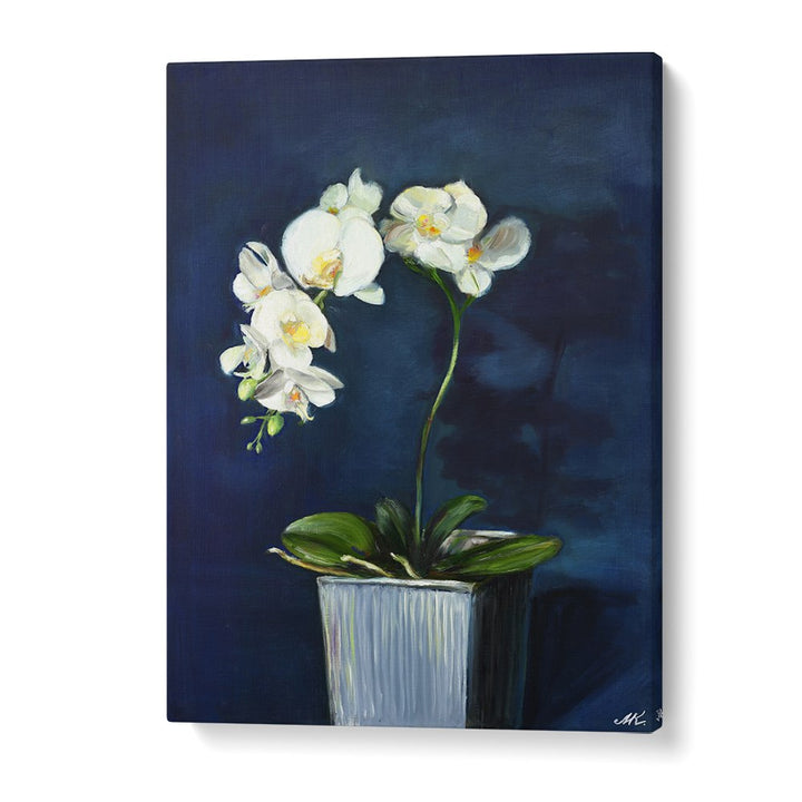 ELEGANT WHITE ORCHIDS