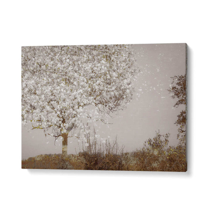 FRUIT TREE , FLORAL FLOWER PAINTINGS