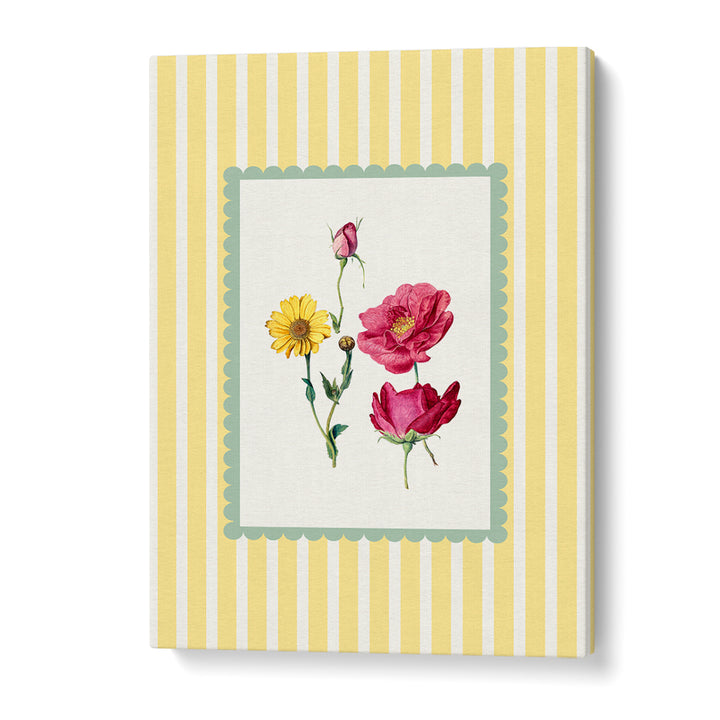 GARDEN ROSE & DAISY STUDY