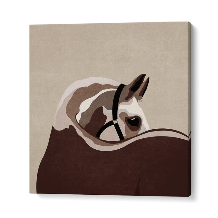 GENTLE EQUINE CURVE