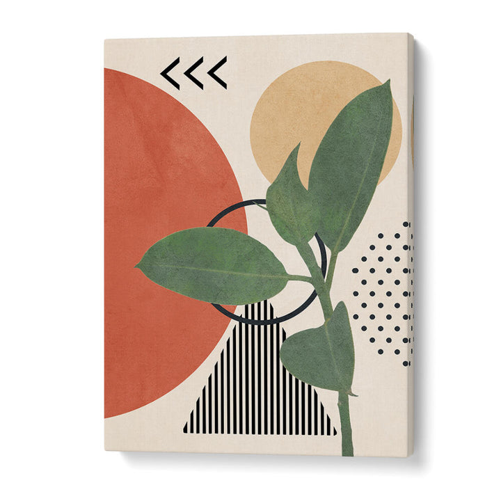 GEOMETRIC BOTANY