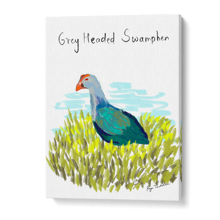 GREY HEADED SWAMPHEN
