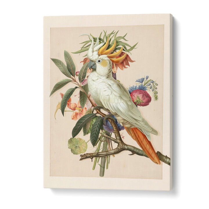 HENRIËTTA’S BIRD