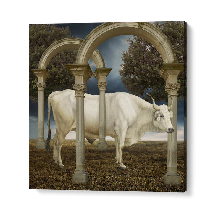 ILLUSIONNISME DE LA VACHE