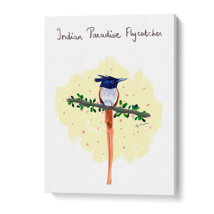 INDIAN PARADISE FLYCATCHER