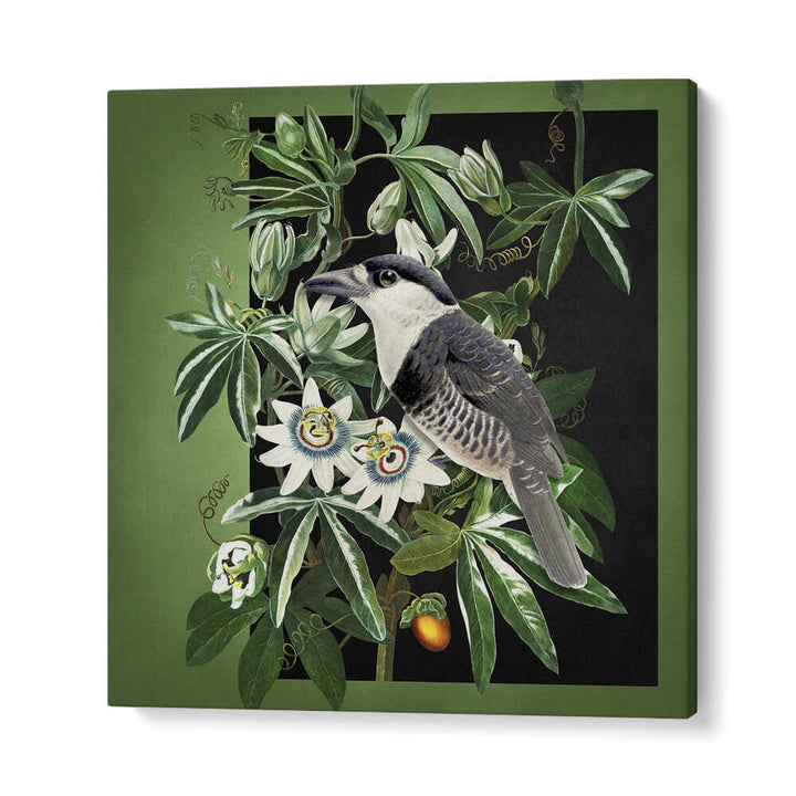 L'OISEAU ET LA PASSIFLORE