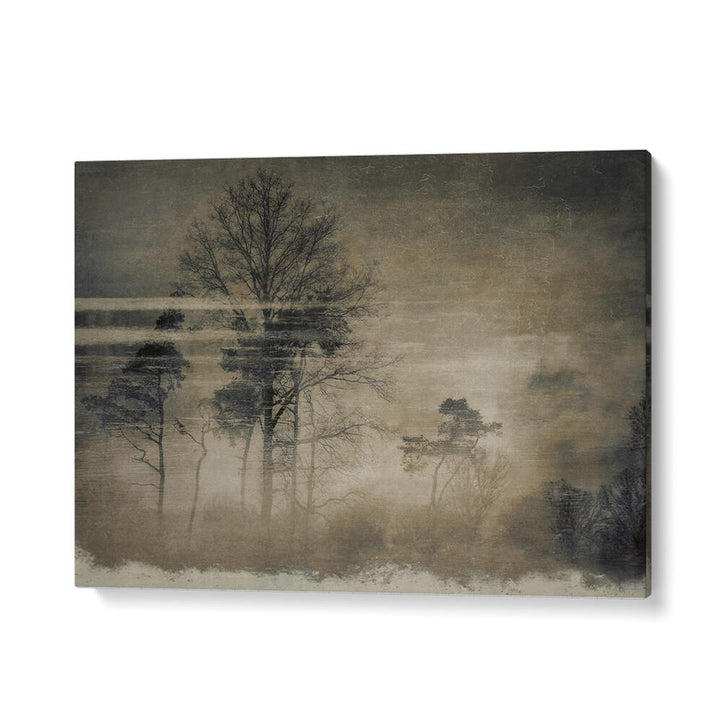 OLD POSTCARD , FLORAL FLOWER PAINTINGS