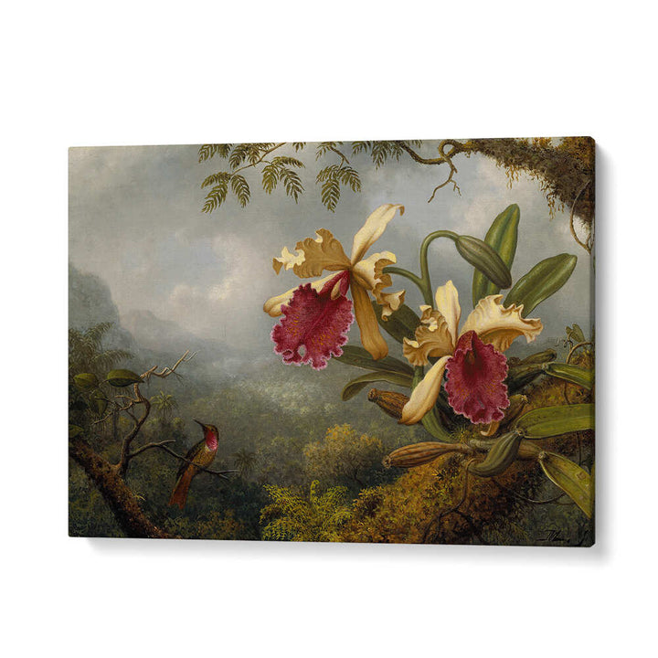 ORCHIDS AND HUMMINGBIRD , FLORAL FLOWER PAINTINGS