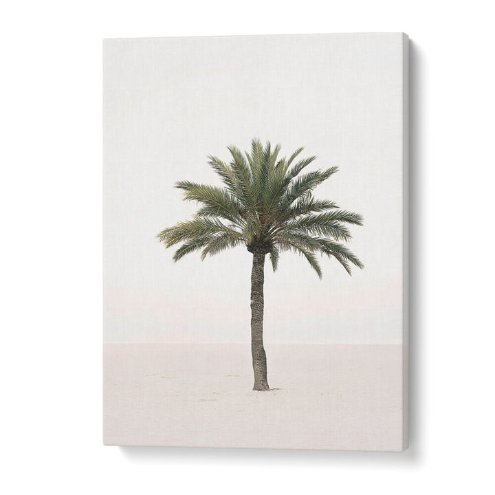 PALM II , BEACH PAINTINGS