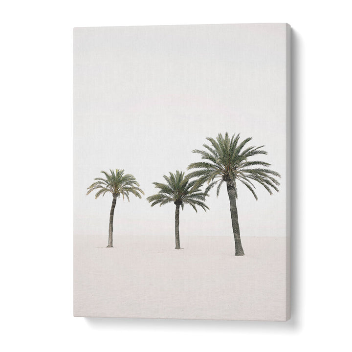 PALMS , BEACH PAINTINGS