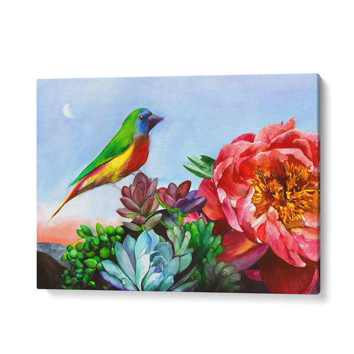 PARROT FINCH , ANIMAL PAINTINGS