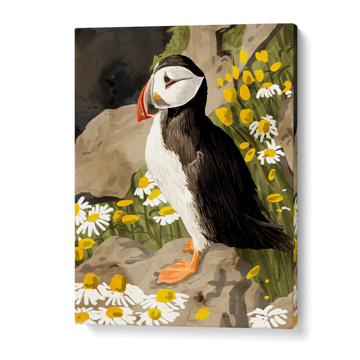 PUFFIN , ANIMAL PAINTINGS