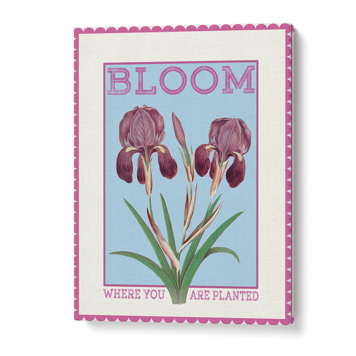 PURPLE IRISES BLOOM QUOTE