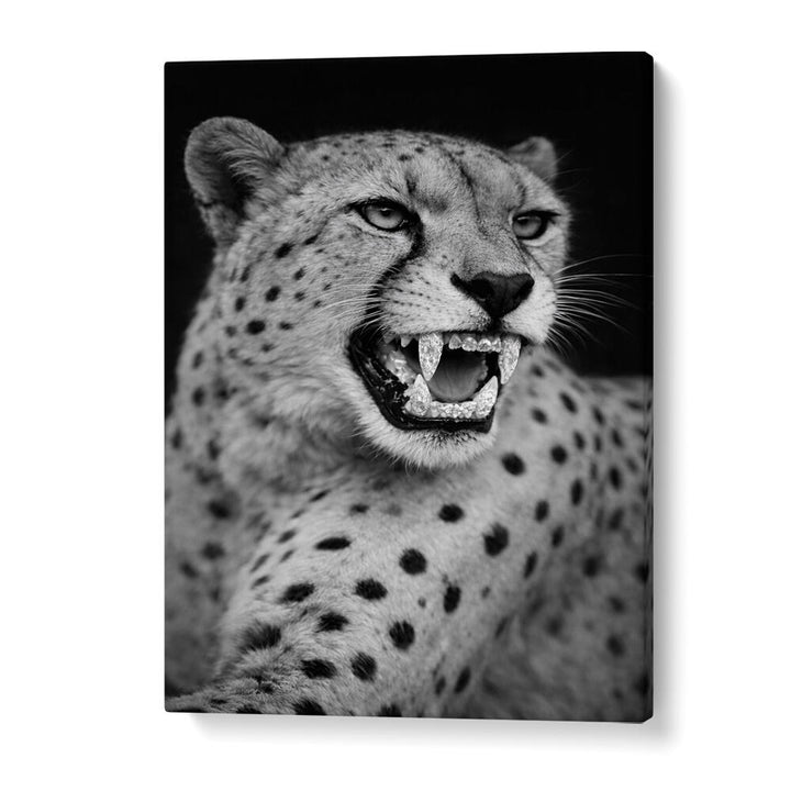 ROARING PREDATOR