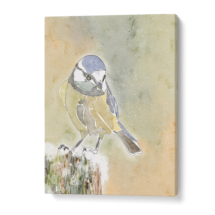 SNOWY BLUE TIT