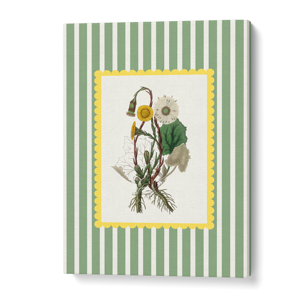 SPRING DANDELION STUDY