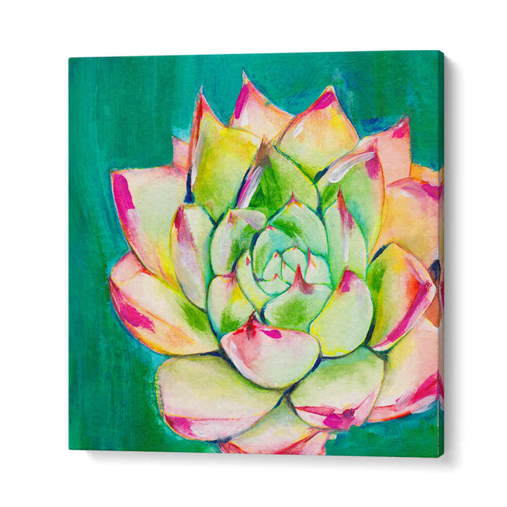 SUCCULENT I LARGE , FLORAL FLOWER PAINTINGS