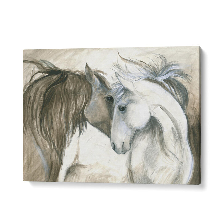 TENDER CONNECTION BETWEEN TWO HORSES