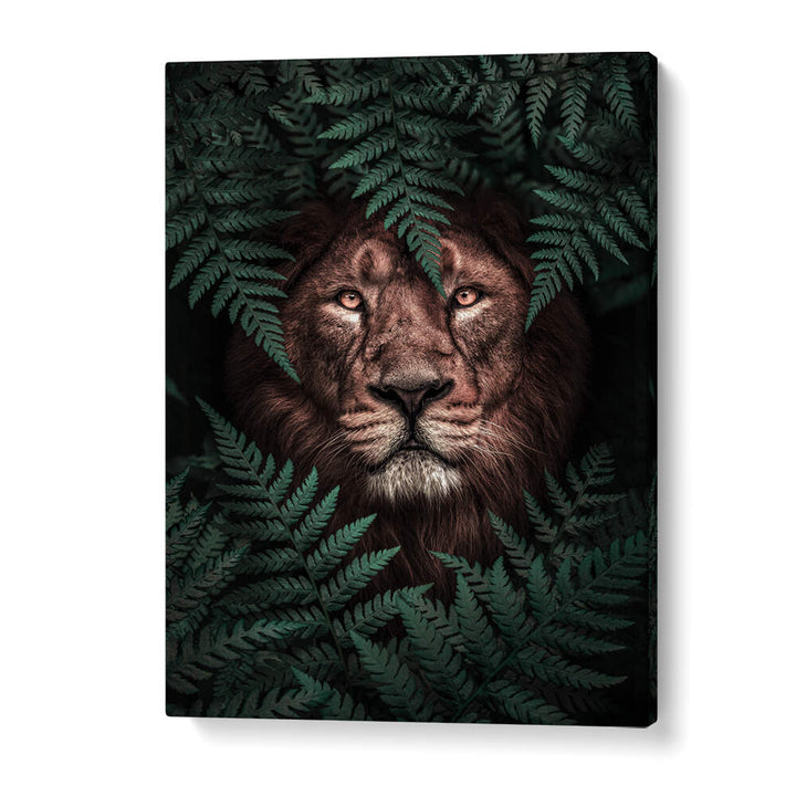 THE LION KING , ANIMAL PAINTINGS