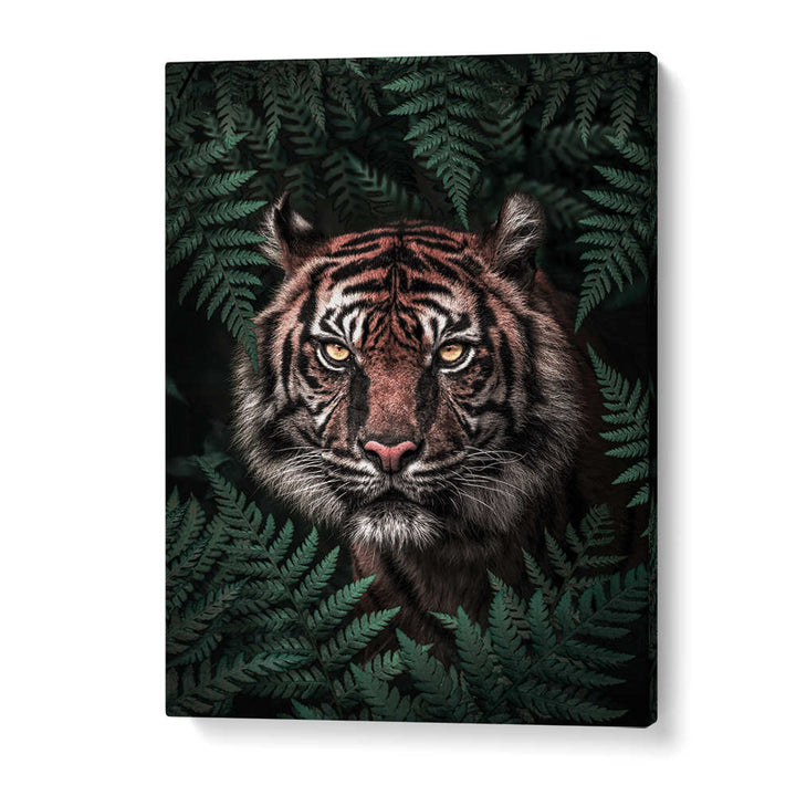 TIGER , ANIMAL PAINTINGS