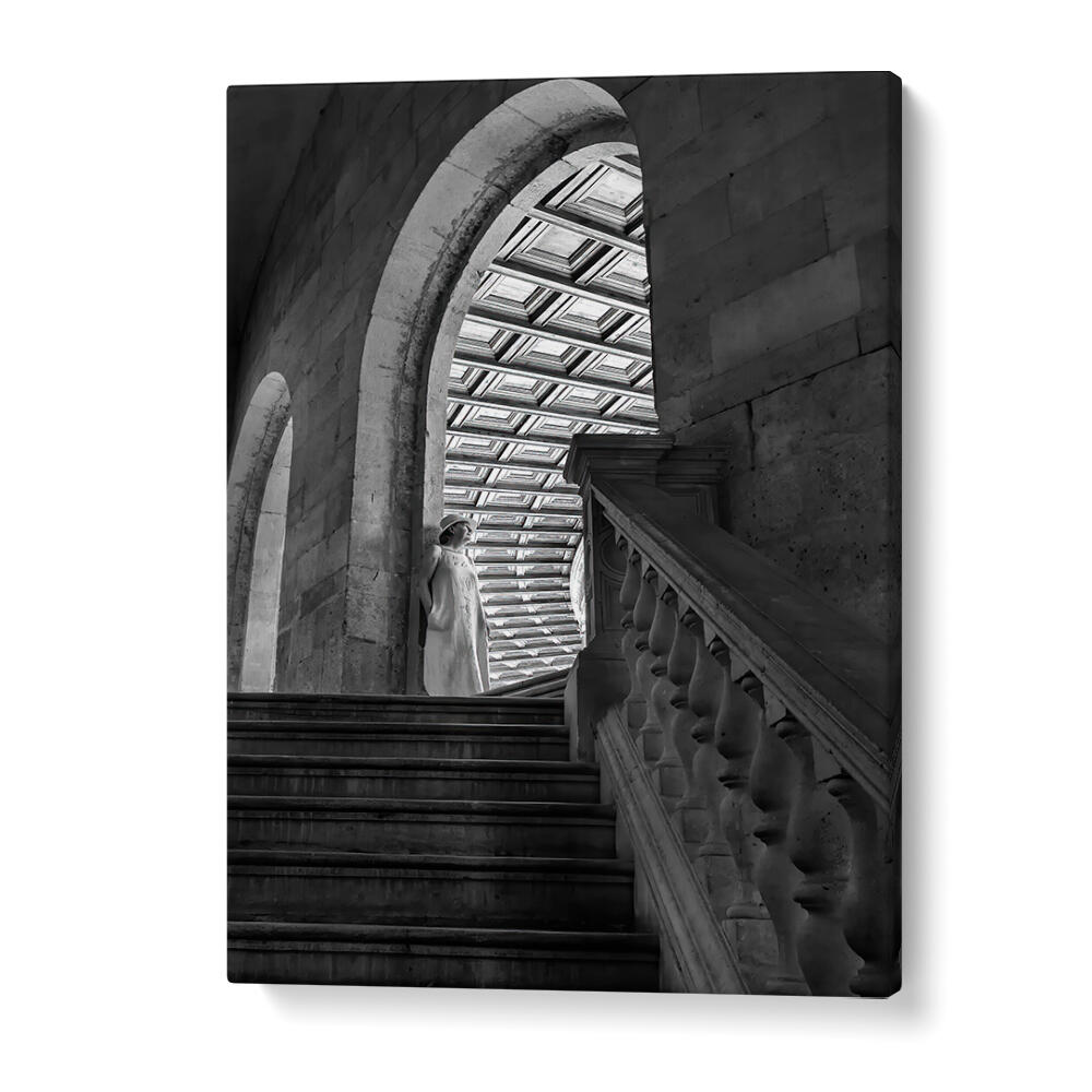 TIMELESS ARCHES